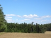 DSC08078