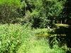 DSC08086