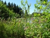 DSC08090