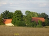 DSC08157