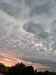 20230813_204723