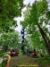 IMG-20210617-WA0009