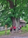 IMG-20210617-WA0014