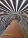 IMG-20210617-WA0017