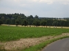 DSC05169