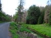 DSC07361