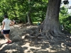 IMG_20220612_133113