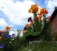 DSC00306