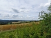 DSC00315