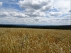 DSC00319