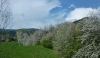 P1220600