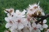 P1170444