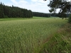 DSC04305