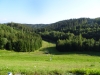 DSC05393