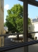 DSC05431