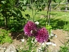 DSC04466
