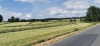 IMG_20190623_153125