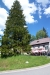 P1180174