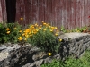 DSC08382