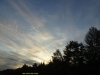 DSC08398