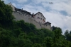 p1130554
