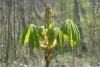 p1120077
