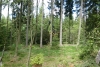 p1120230